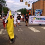 1]sqyuash gmos